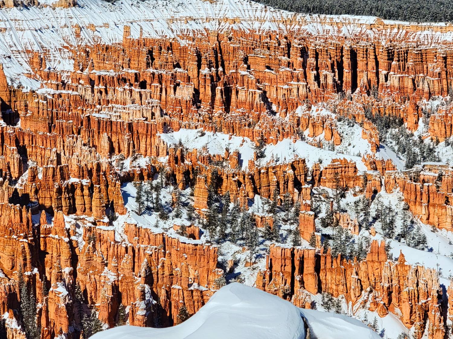 Bryce, Snow Scene