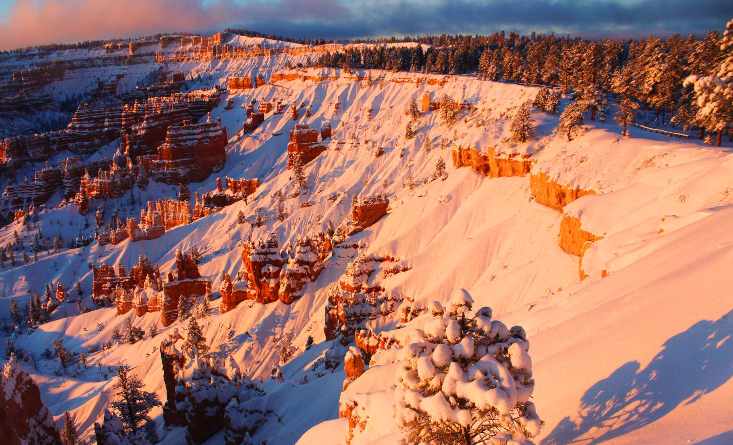 Bryce, Snowy Sunrise