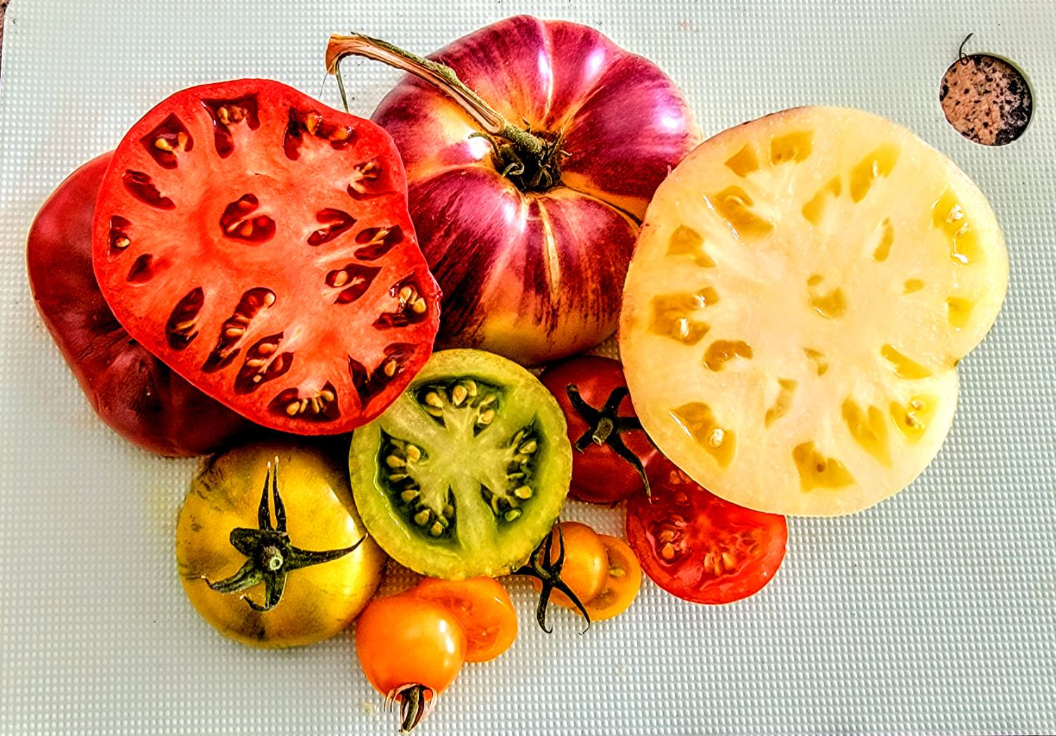 Tomato Rainbow