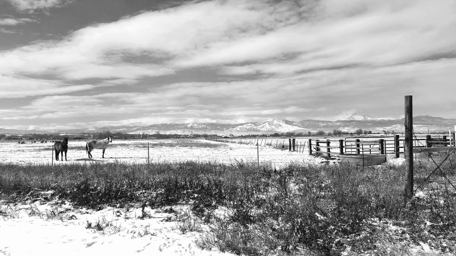 Longview
