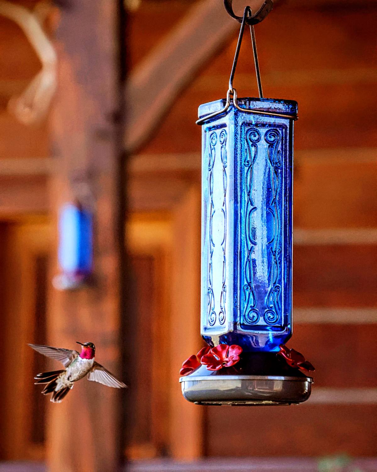Not Yet, Hummingbird