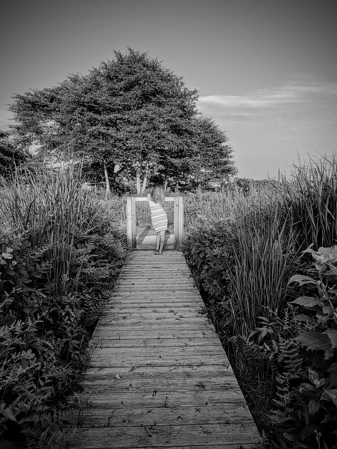 Bridgehampton Path