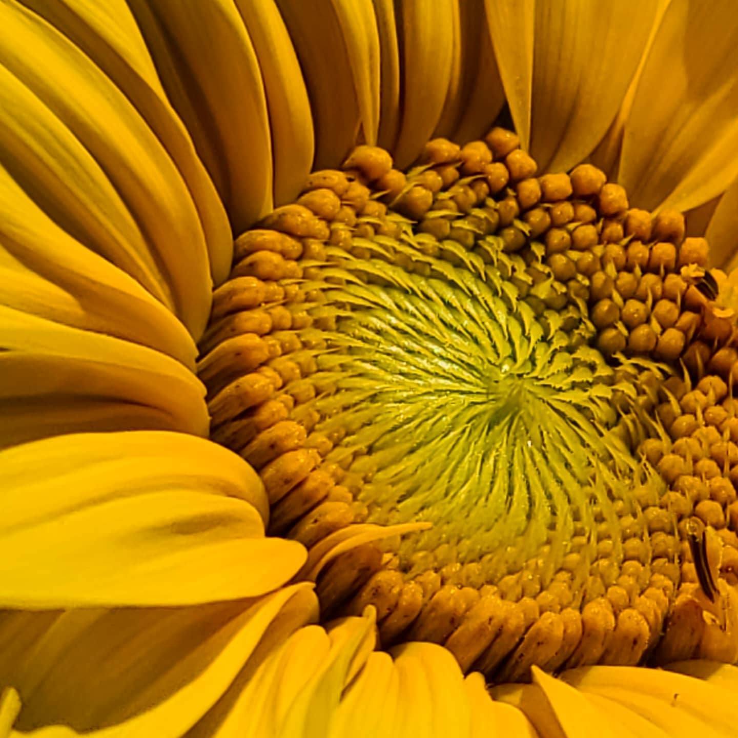 Deep Center